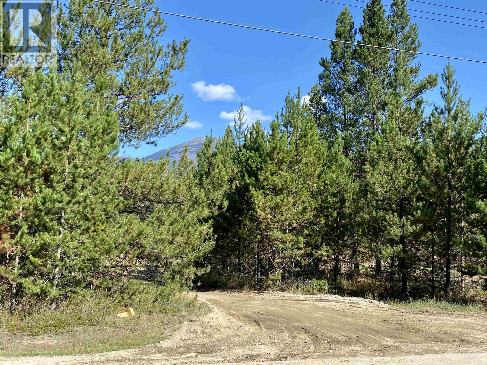 Valemount Vacant Land for sale:    (Listed 2025-11-21)