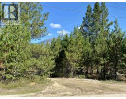 1170 14th Avenue, Valemount, Ca