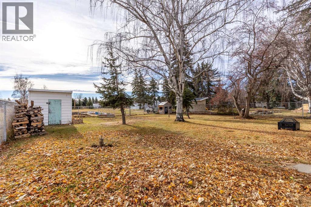 56 E 100 S, Raymond, Alberta  T0K 2S0 - Photo 23 - A2269877