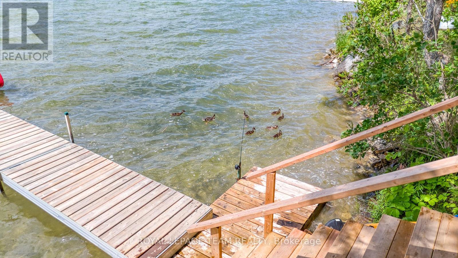 199 Maple Grove Lane, North Algona Wilberforce, Ontario  K0J 1T0 - Photo 32 - X12568600