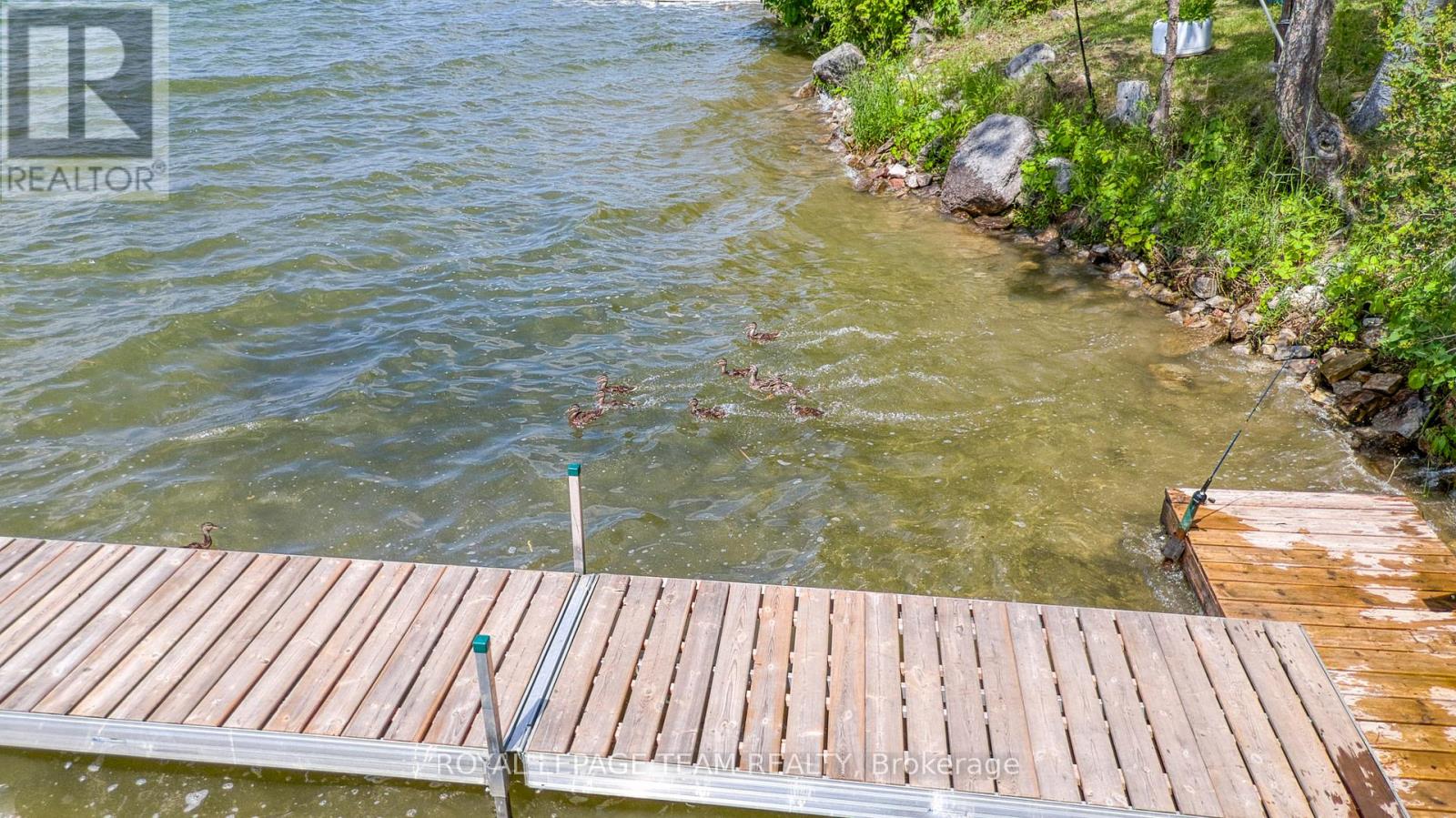 199 Maple Grove Lane, North Algona Wilberforce, Ontario  K0J 1T0 - Photo 33 - X12568600