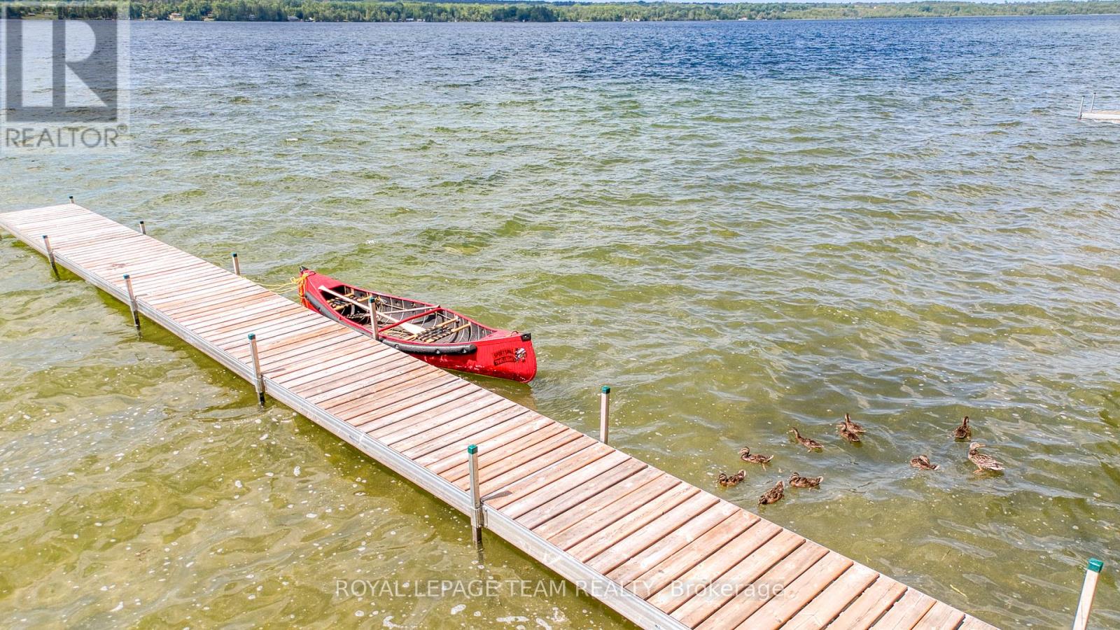 199 Maple Grove Lane, North Algona Wilberforce, Ontario  K0J 1T0 - Photo 34 - X12568600