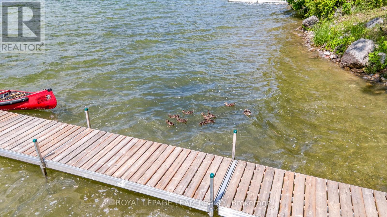 199 Maple Grove Lane, North Algona Wilberforce, Ontario  K0J 1T0 - Photo 4 - X12568600