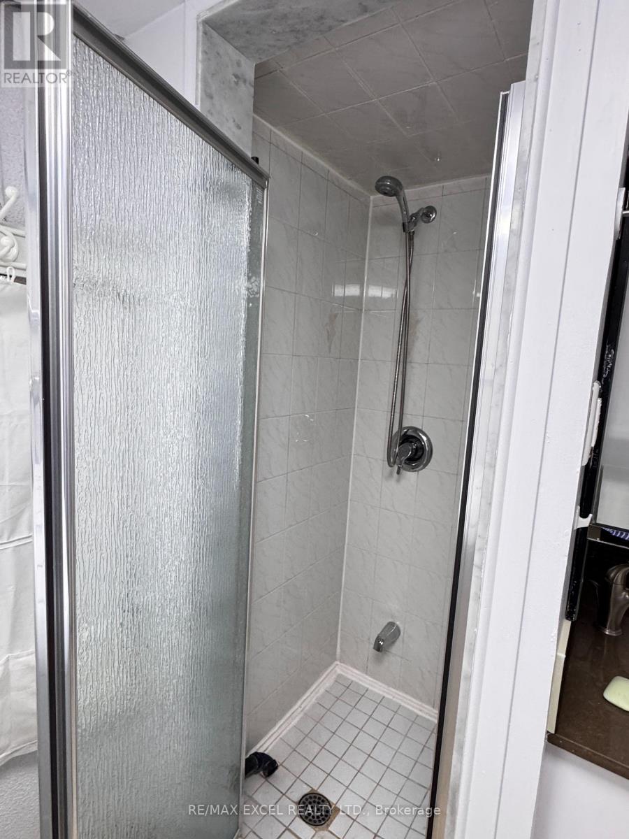 Basement - 49 Mentor Boulevard, Toronto, Ontario  M2H 2M9 - Photo 14 - C12394481