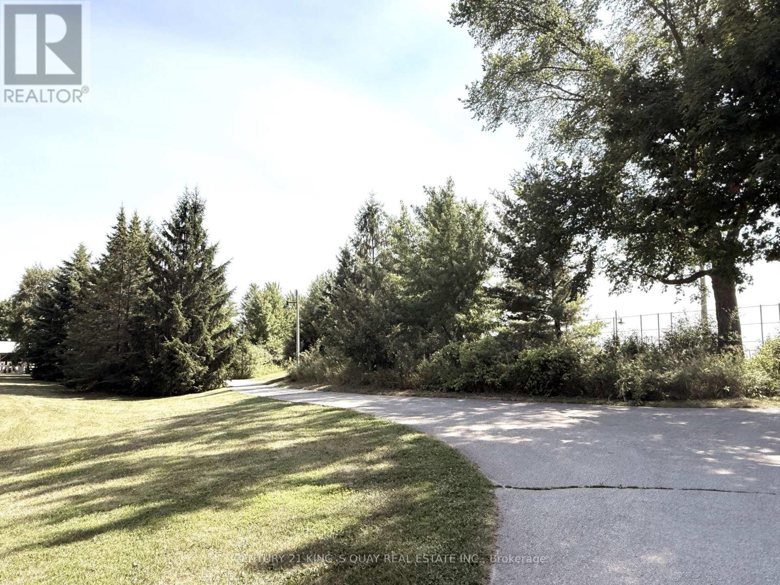 107 Mcalister Avenue, Richmond Hill, Ontario  L4S 0L2 - Photo 38 - N12568682