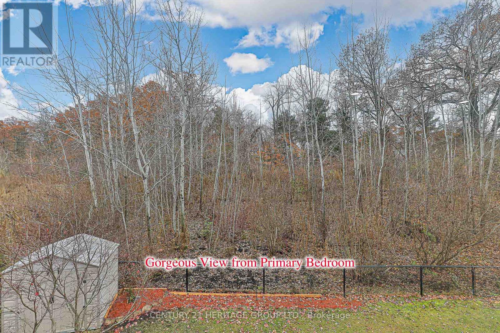 20 Trish Drive, Richmond Hill, Ontario  L4E 5C5 - Photo 22 - N12568602