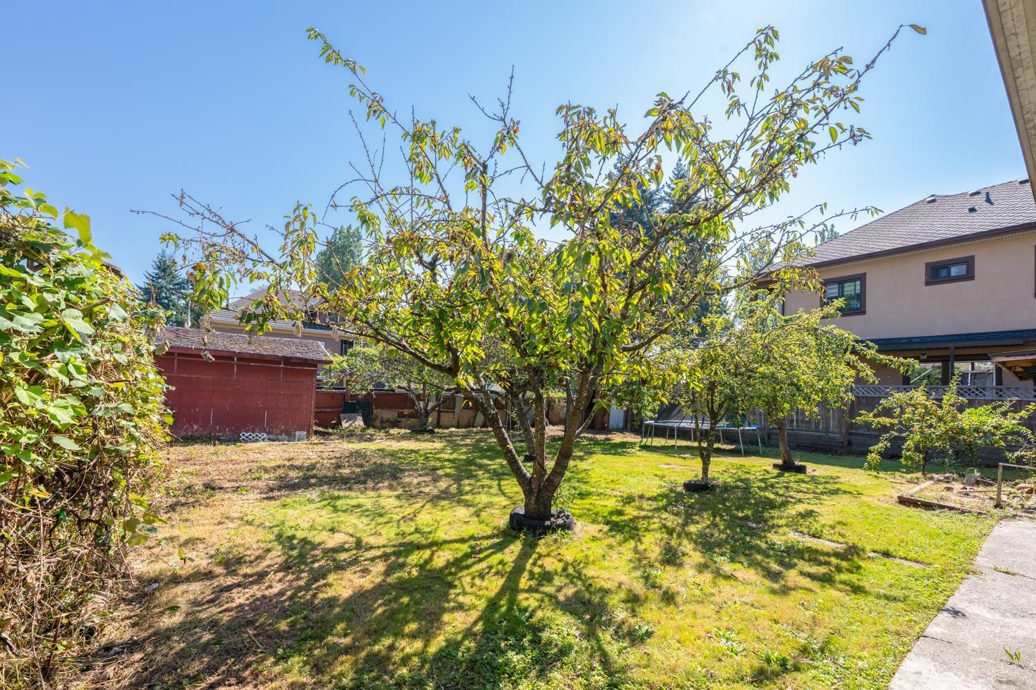 10286 148a Street, Surrey, British Columbia  V3R 3Z2 - Photo 21 - R3069395