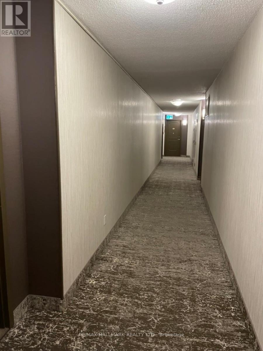 209 - 1101 Steeles Avenue W, Toronto, Ontario  M2R 3W5 - Photo 3 - C12406604