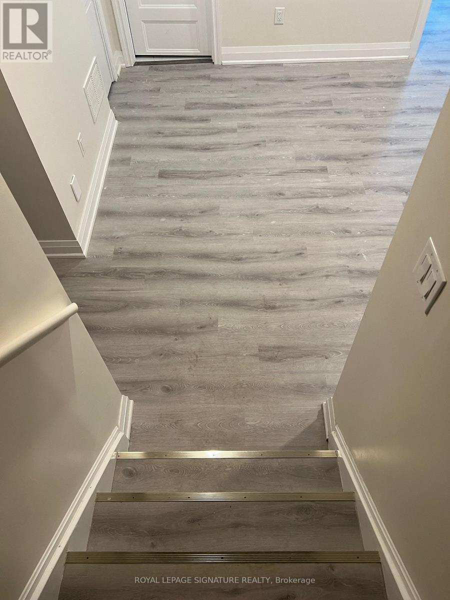 Basement - 58 Satchell Boulevard, Toronto, Ontario  M1C 3B4 - Photo 7 - E12569016