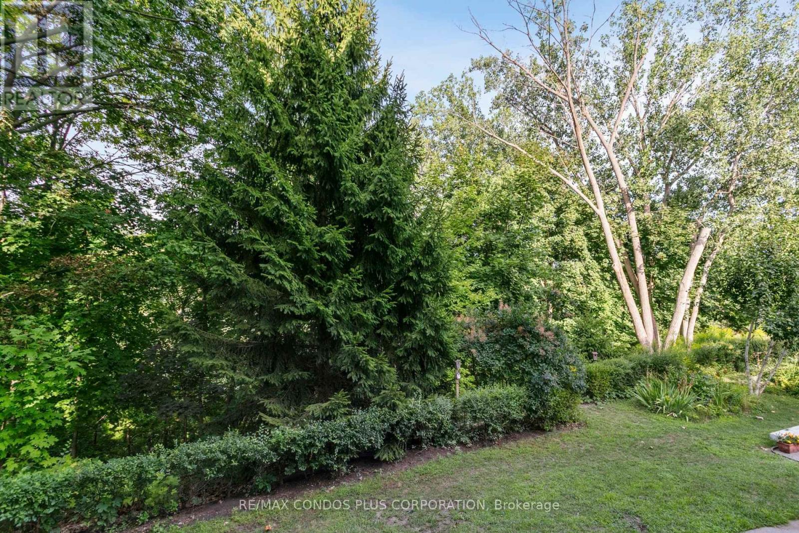 101 - 185 Stephen Drive W, Toronto, Ontario  M8Y 3N5 - Photo 45 - W12569032