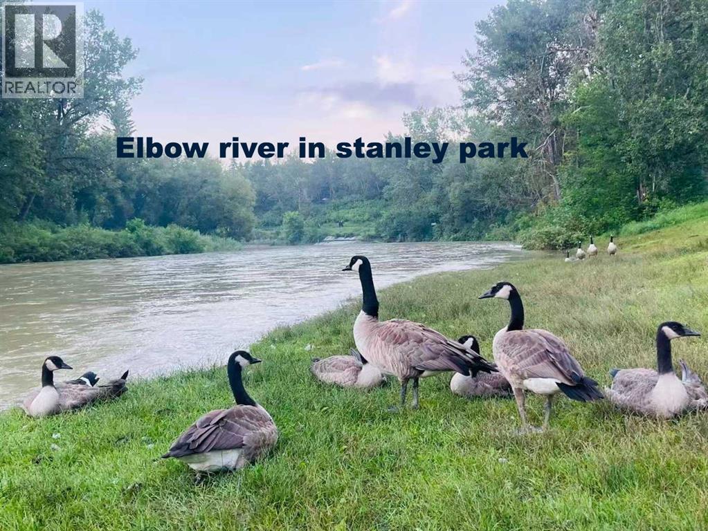 3609 Parkhill Street Sw, Calgary, Alberta  T2S 2Z5 - Photo 41 - A2264912