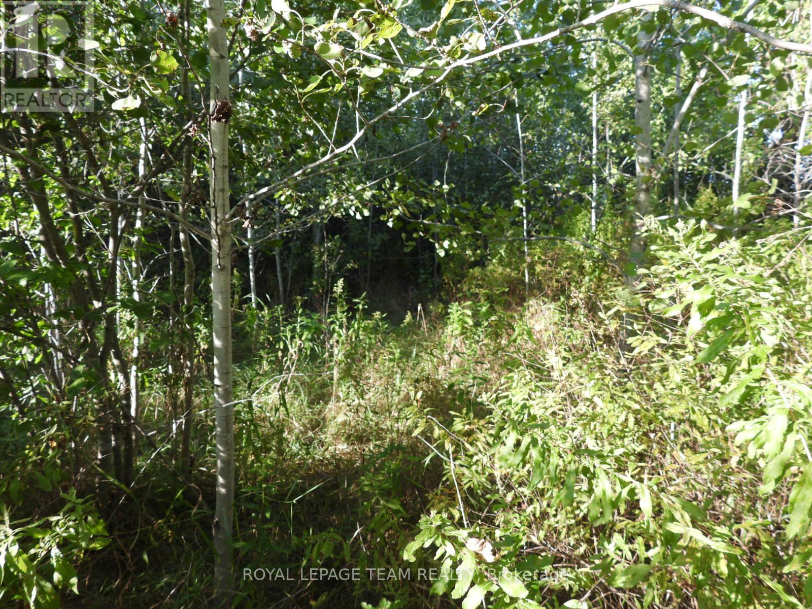 2710 Dunrobin Road, Ottawa, Ontario  K0A 1T0 - Photo 17 - X12569116