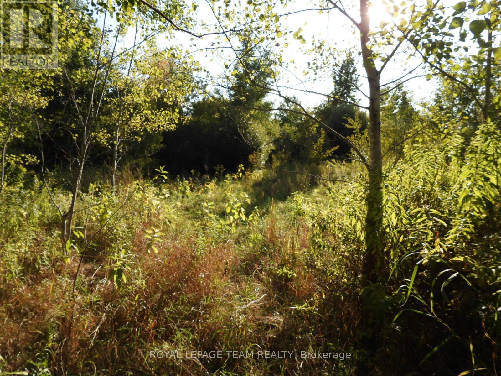 2710 Dunrobin Road, Ottawa, Ontario  K0A 1T0 - Photo 18 - X12569116