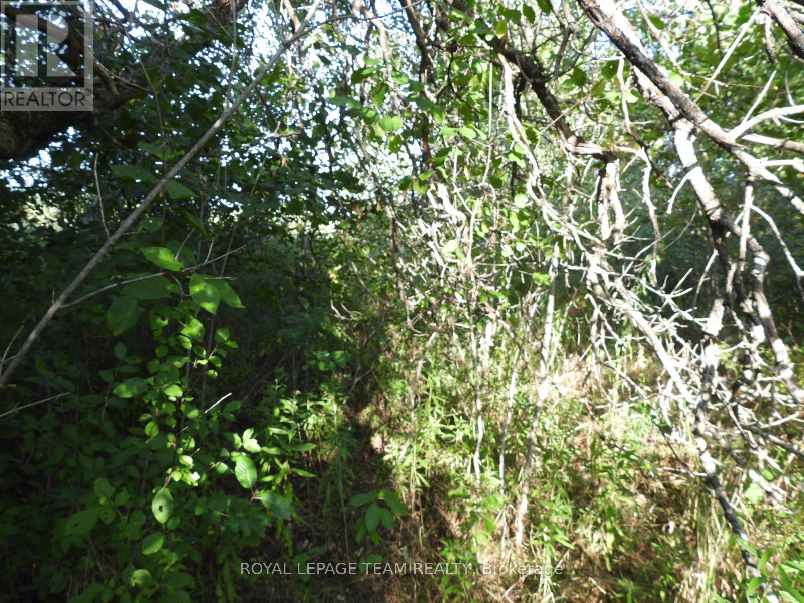 2710 Dunrobin Road, Ottawa, Ontario  K0A 1T0 - Photo 19 - X12569116