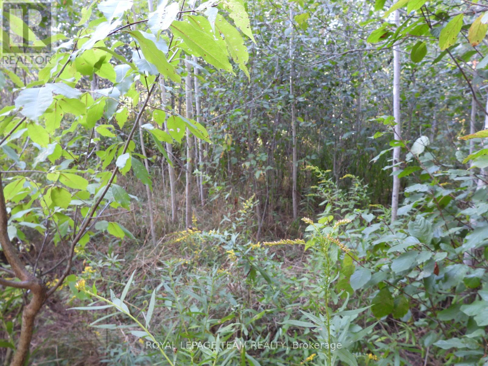 2710 Dunrobin Road, Ottawa, Ontario  K0A 1T0 - Photo 21 - X12569116