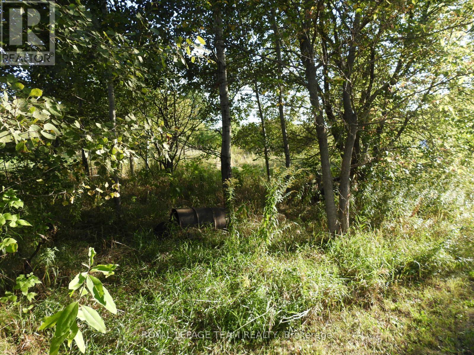 2710 Dunrobin Road, Ottawa, Ontario  K0A 1T0 - Photo 23 - X12569116