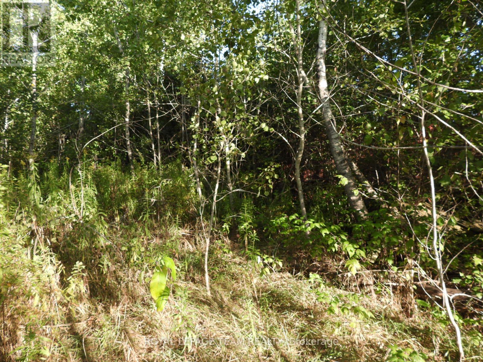 2710 Dunrobin Road, Ottawa, Ontario  K0A 1T0 - Photo 14 - X12569120