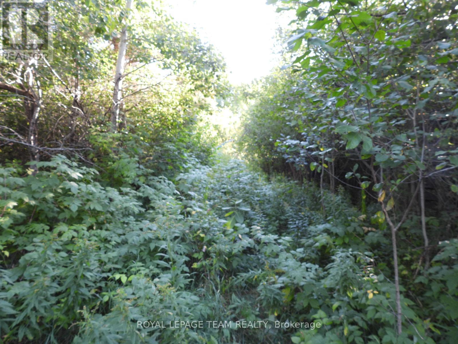 2710 Dunrobin Road, Ottawa, Ontario  K0A 1T0 - Photo 20 - X12569120