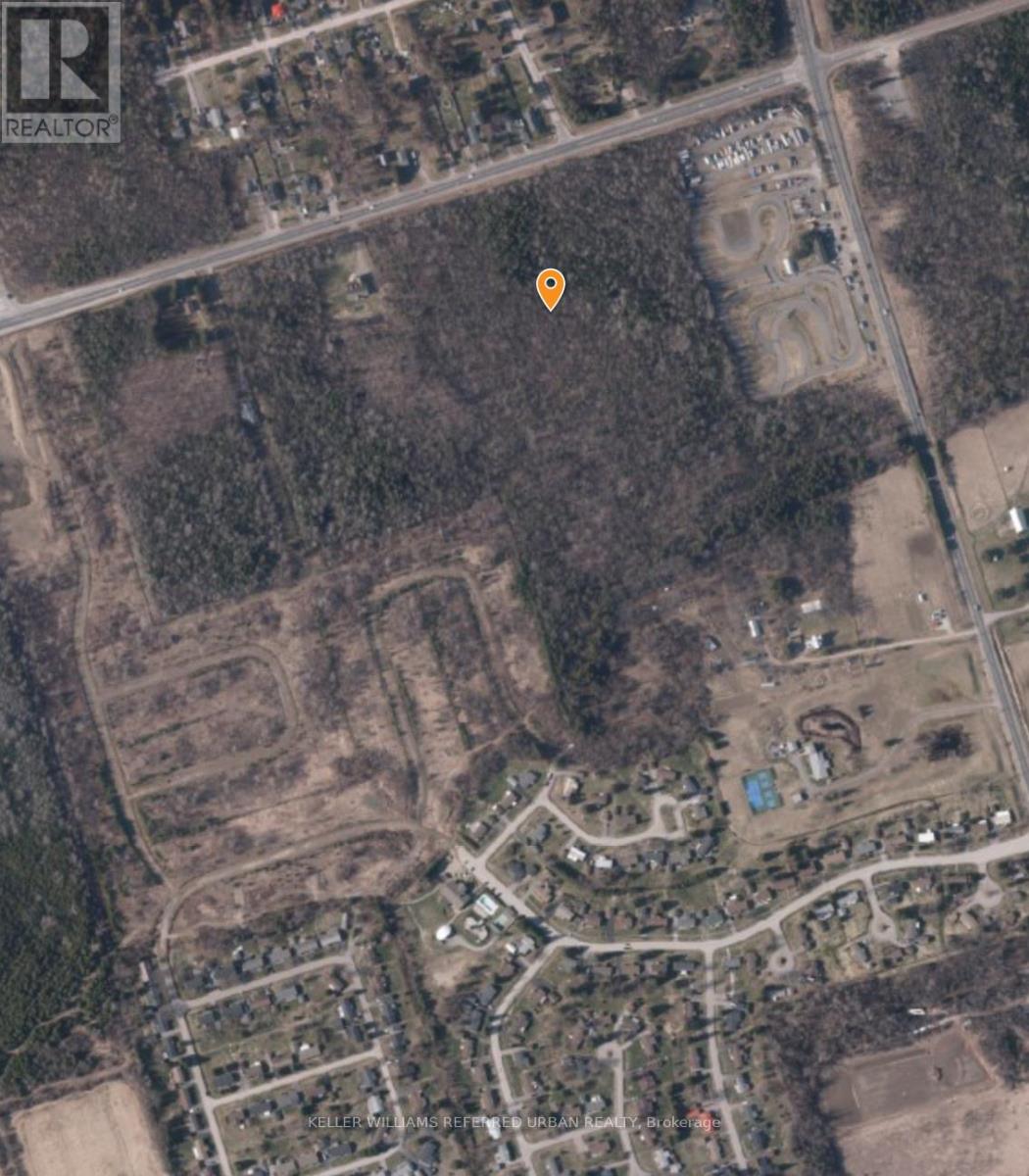 N/a Black River Road, Georgina, Ontario  L0E 1R0 - Photo 4 - N12569388