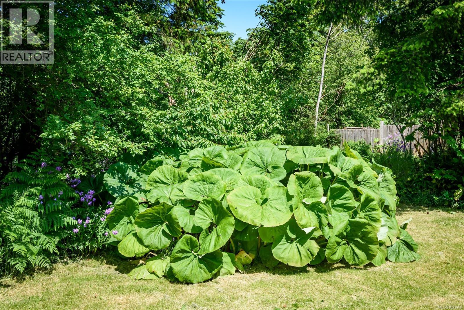 9437 Martin Park Dr, Black Creek, British Columbia V9J 1C3 - Photo 39 - 1021018