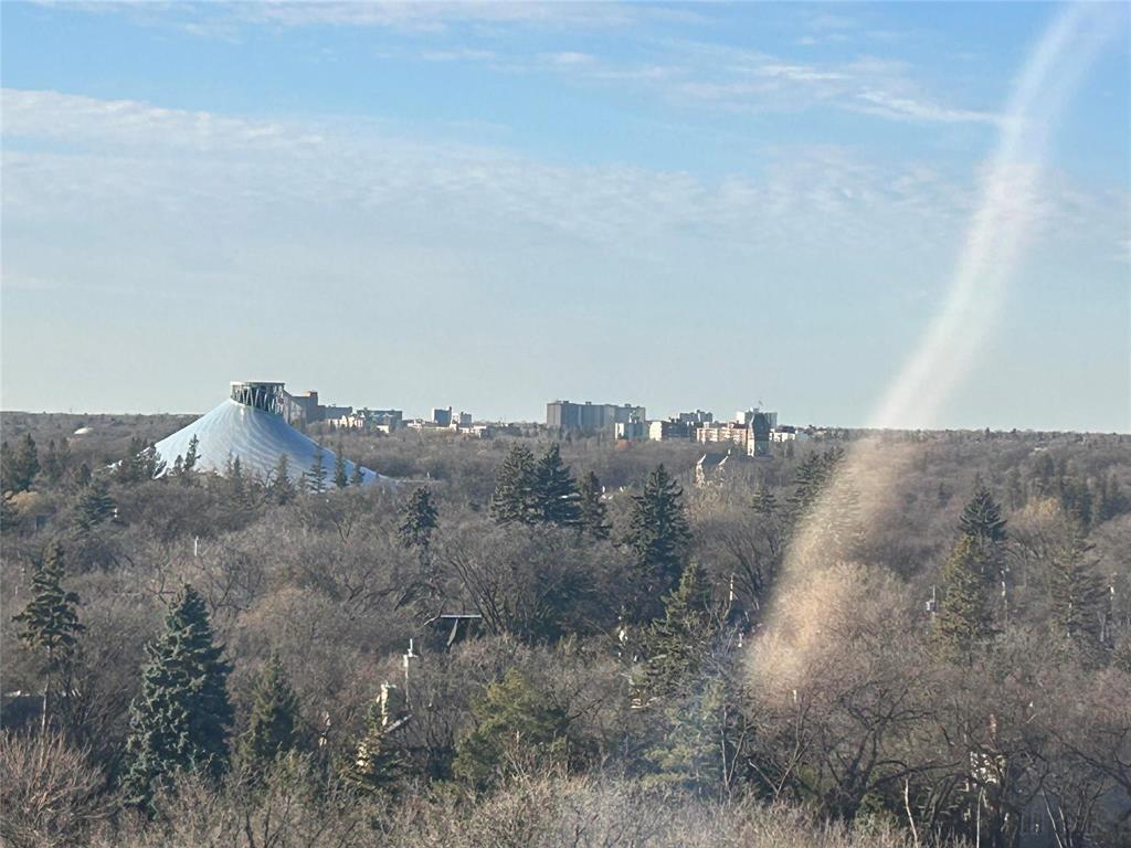 903 200 Tuxedo Avenue, Winnipeg, Manitoba  R3P 0R3 - Photo 20 - 202528900