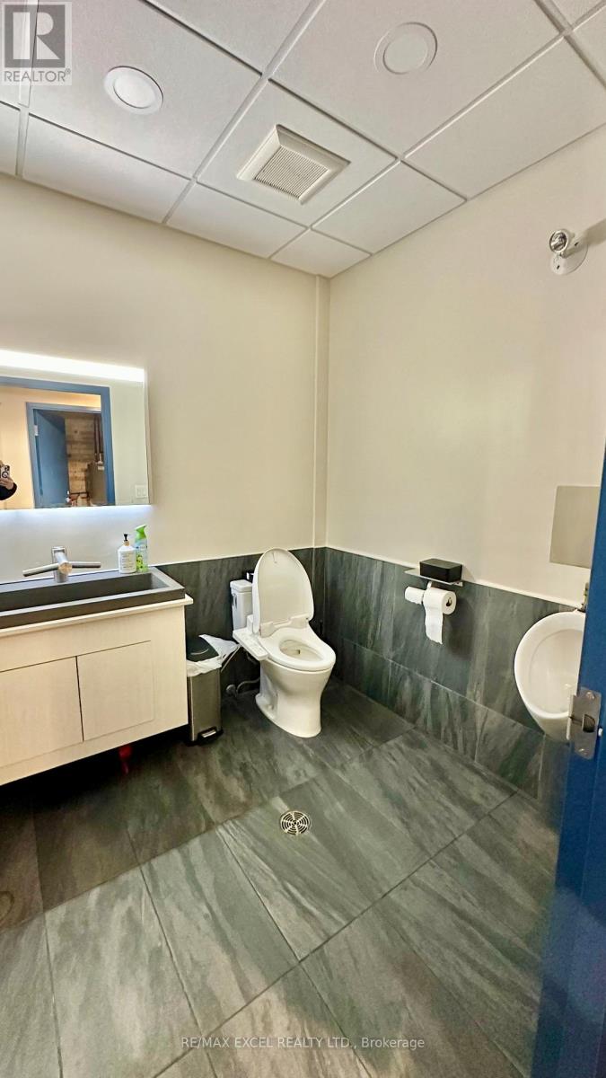 Main #2 - 685 Queen Street W, Toronto, Ontario  M6J 1E6 - Photo 8 - C12544368