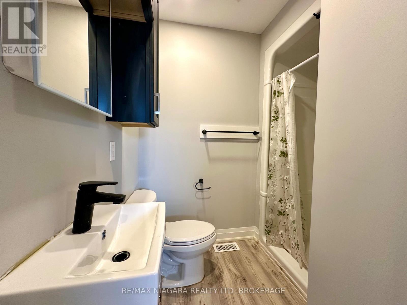 Main - 39 Grove Avenue, St. Catharines, Ontario  L2P 1C5 - Photo 16 - X12569810