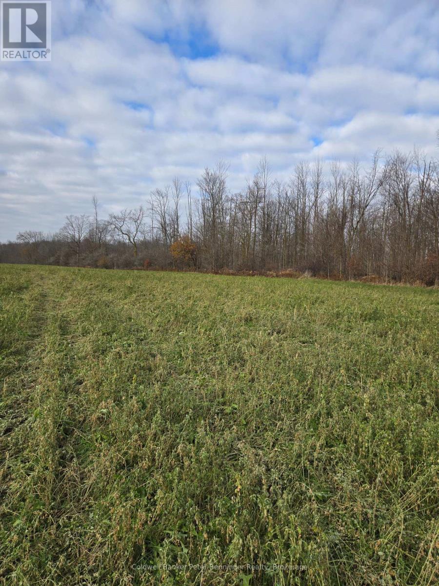 Pt Lt 7, Con 1 Brant Elderslie Townline, Arran-Elderslie, Ontario  N0G 1L0 - Photo 10 - X12569836