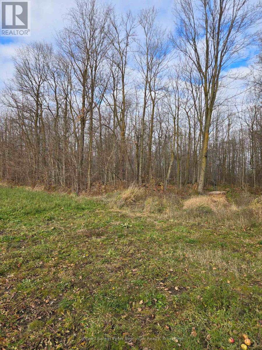 Pt Lt 7, Con 1 Brant Elderslie Townline, Arran-Elderslie, Ontario  N0G 1L0 - Photo 11 - X12569836