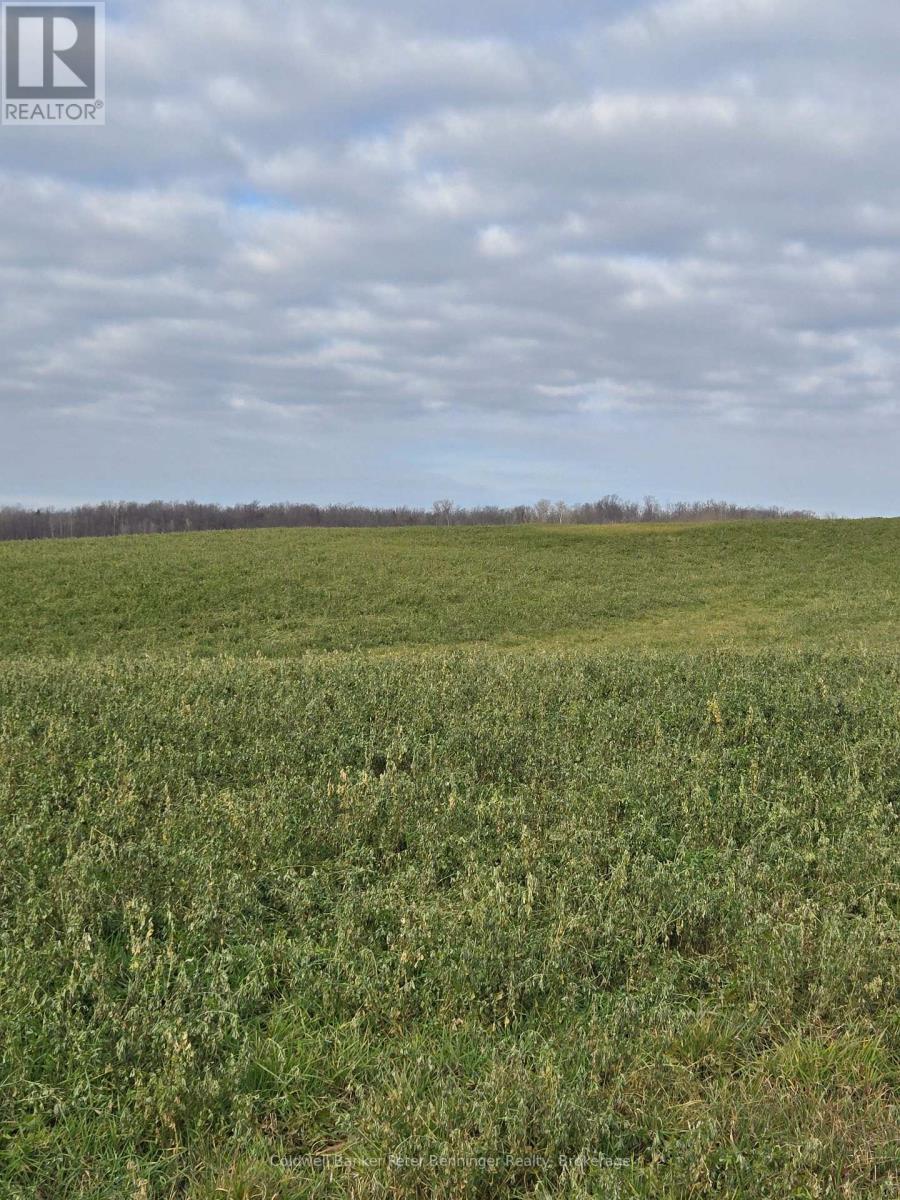 Pt Lt 7, Con 1 Brant Elderslie Townline, Arran-Elderslie, Ontario  N0G 1L0 - Photo 5 - X12569836