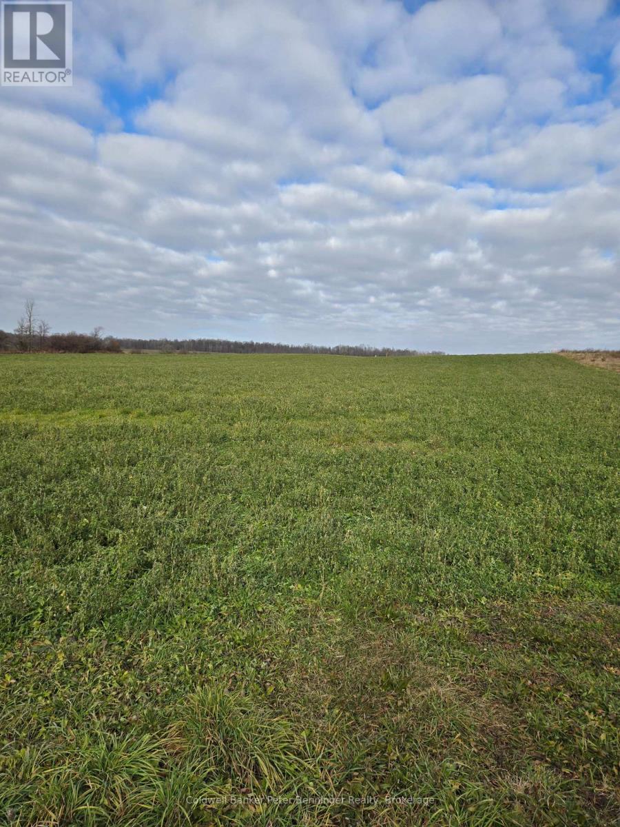 Pt Lt 7, Con 1 Brant Elderslie Townline, Arran-Elderslie, Ontario  N0G 1L0 - Photo 6 - X12569836