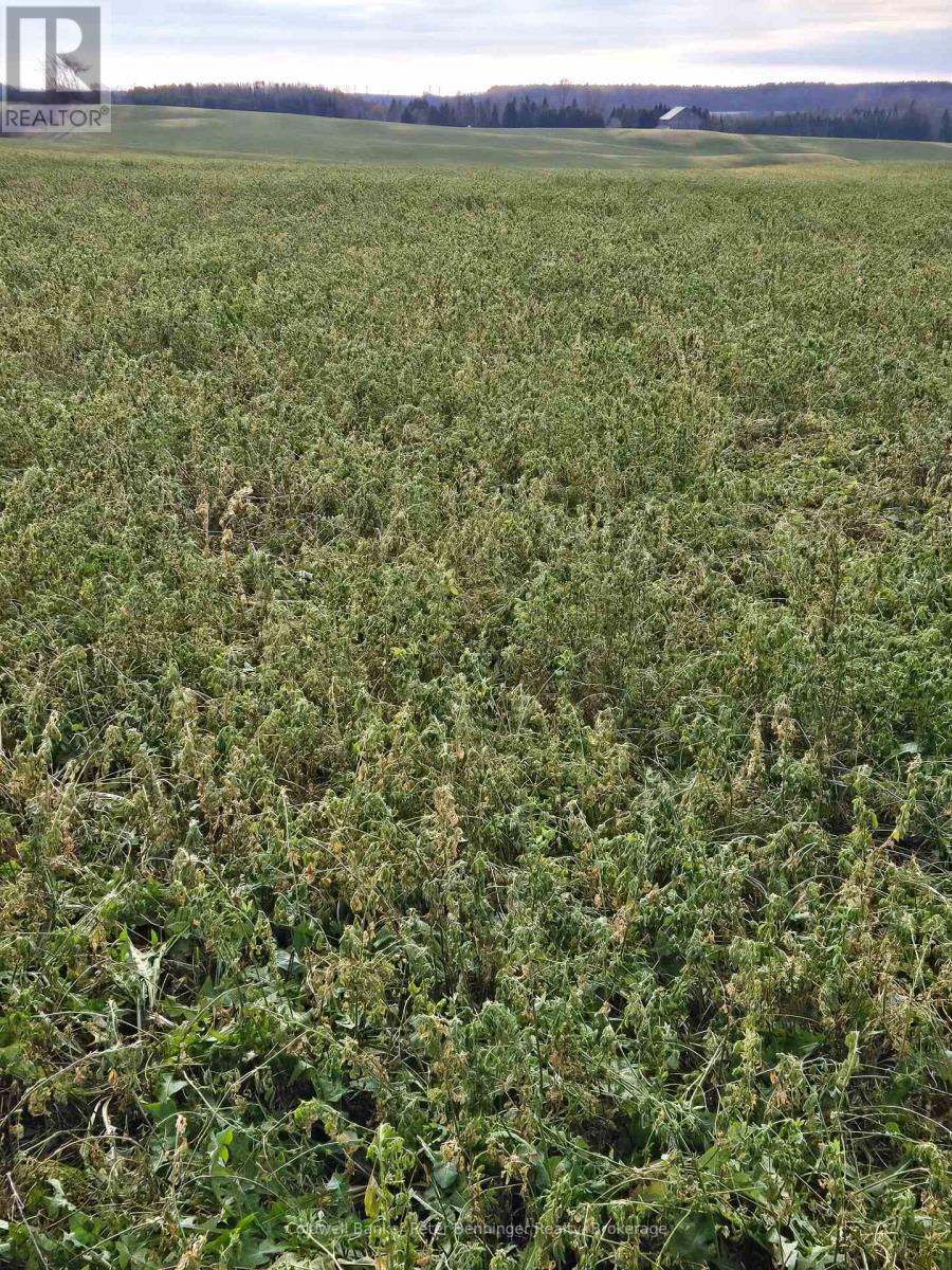 Pt Lt 7, Con 1 Brant Elderslie Townline, Arran-Elderslie, Ontario  N0G 1L0 - Photo 7 - X12569836