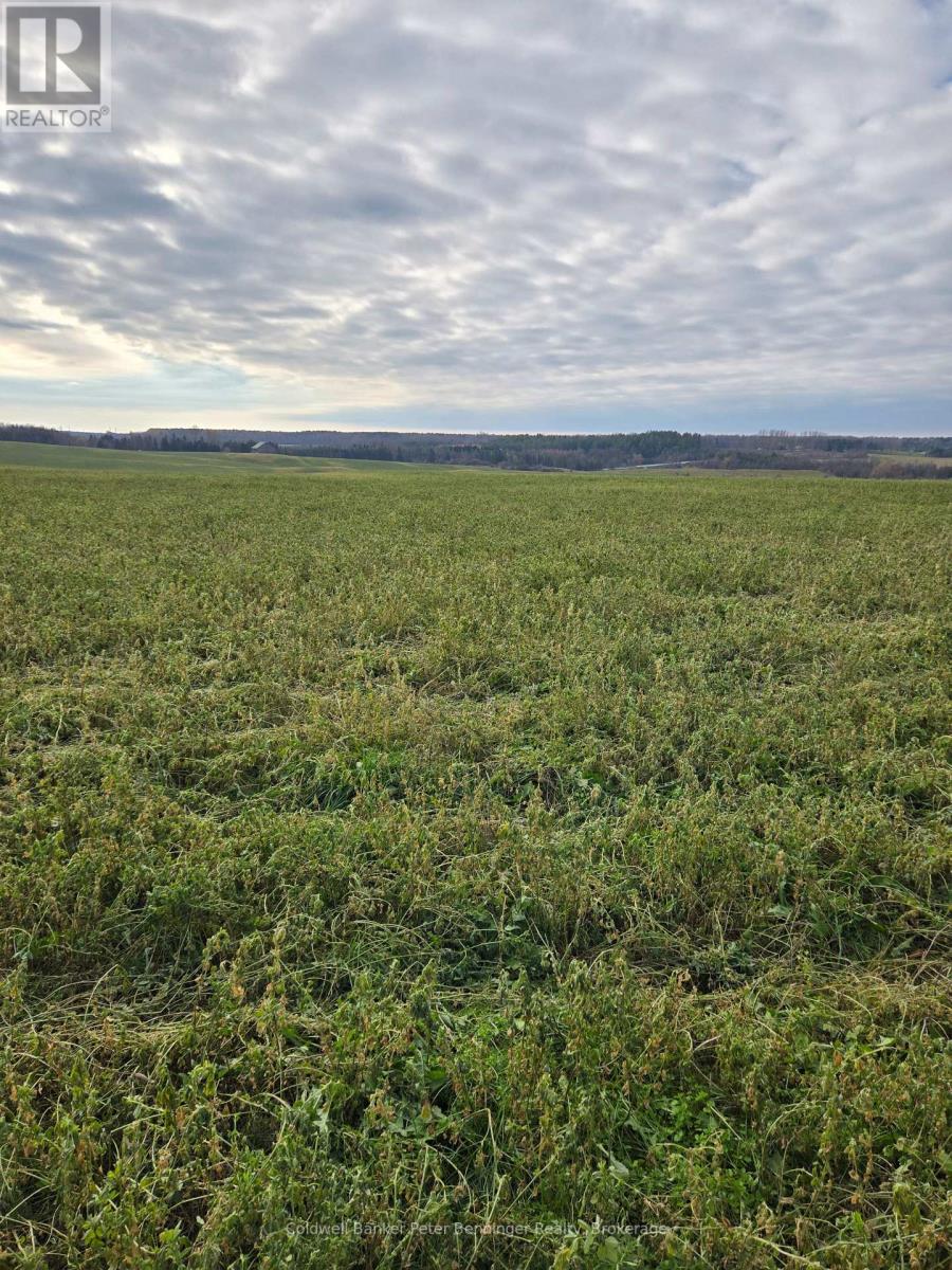 Pt Lt 7, Con 1 Brant Elderslie Townline, Arran-Elderslie, Ontario  N0G 1L0 - Photo 9 - X12569836