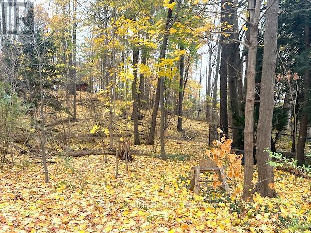 1445 Ryan Place, Mississauga, Ontario  L5C 1J7 - Photo 32 - W12535596