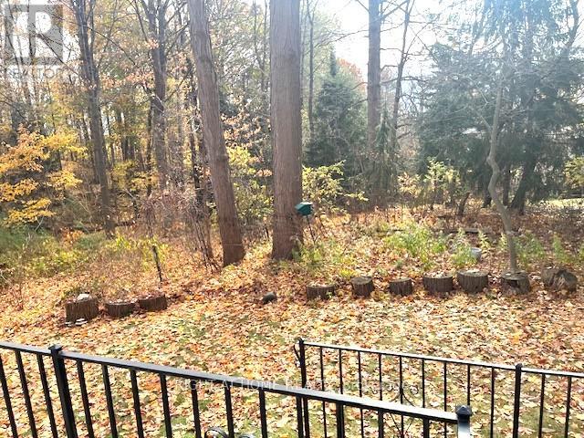 1445 Ryan Place, Mississauga, Ontario  L5C 1J7 - Photo 28 - W12535596