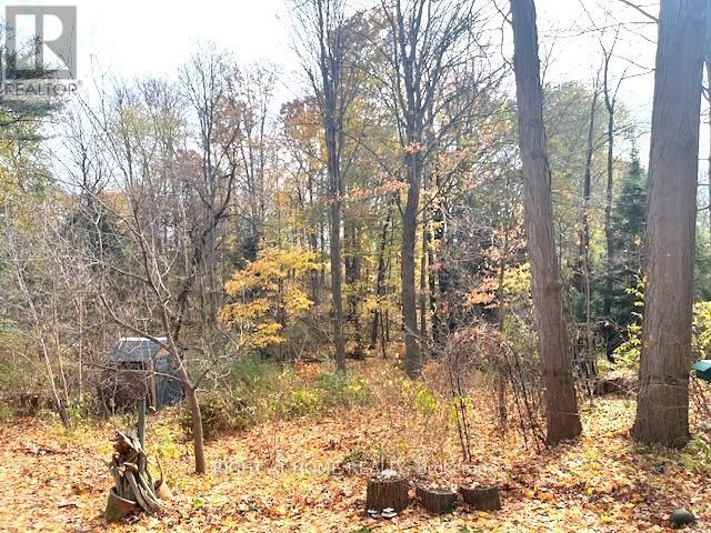 1445 Ryan Place, Mississauga, Ontario  L5C 1J7 - Photo 33 - W12535596