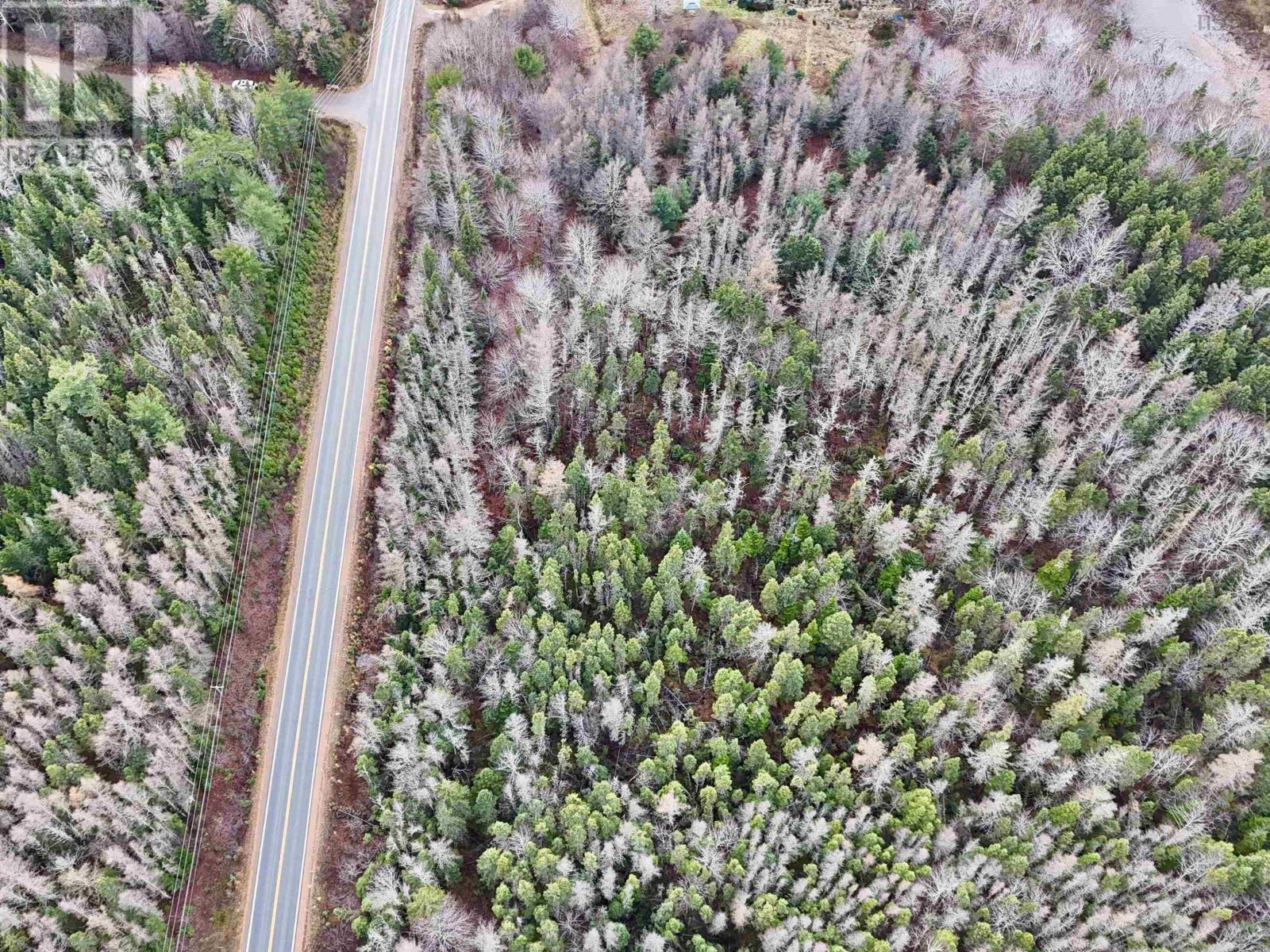 0 Cabot Trail Rd., North East Margaree, Nova Scotia  B0E 2H0 - Photo 3 - 202425789