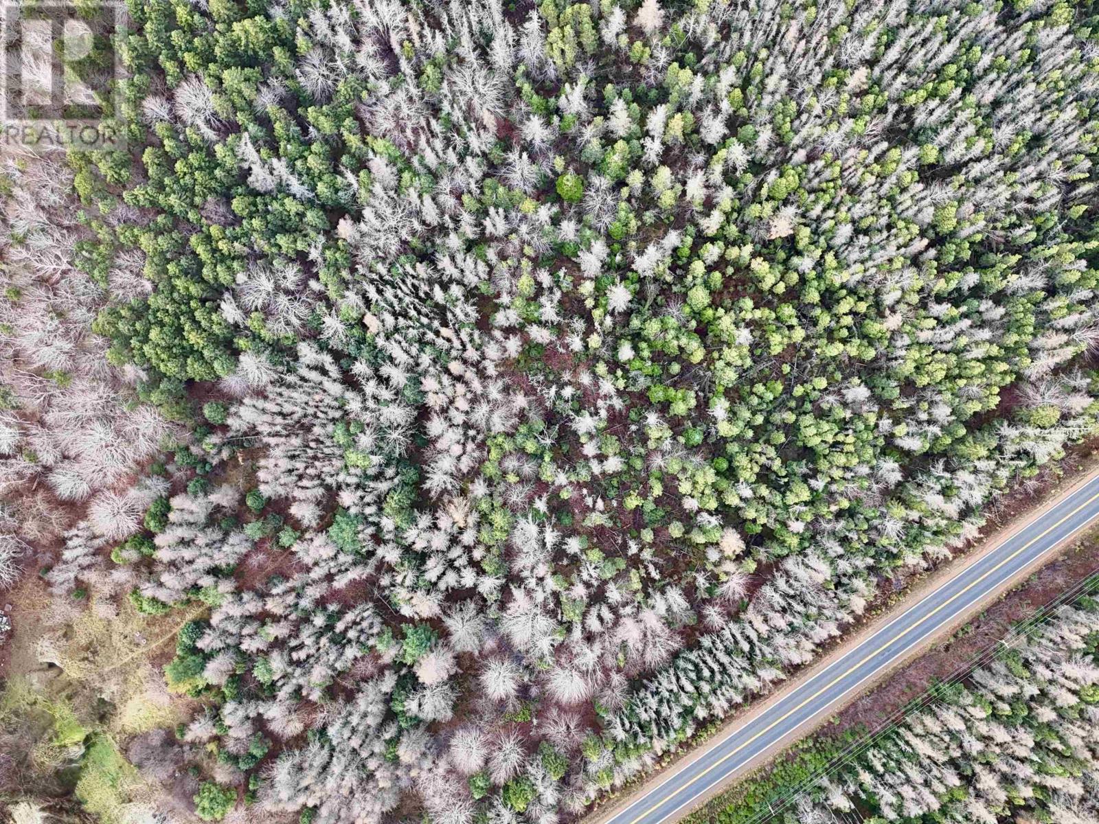 0 Cabot Trail Rd., North East Margaree, Nova Scotia  B0E 2H0 - Photo 11 - 202425789