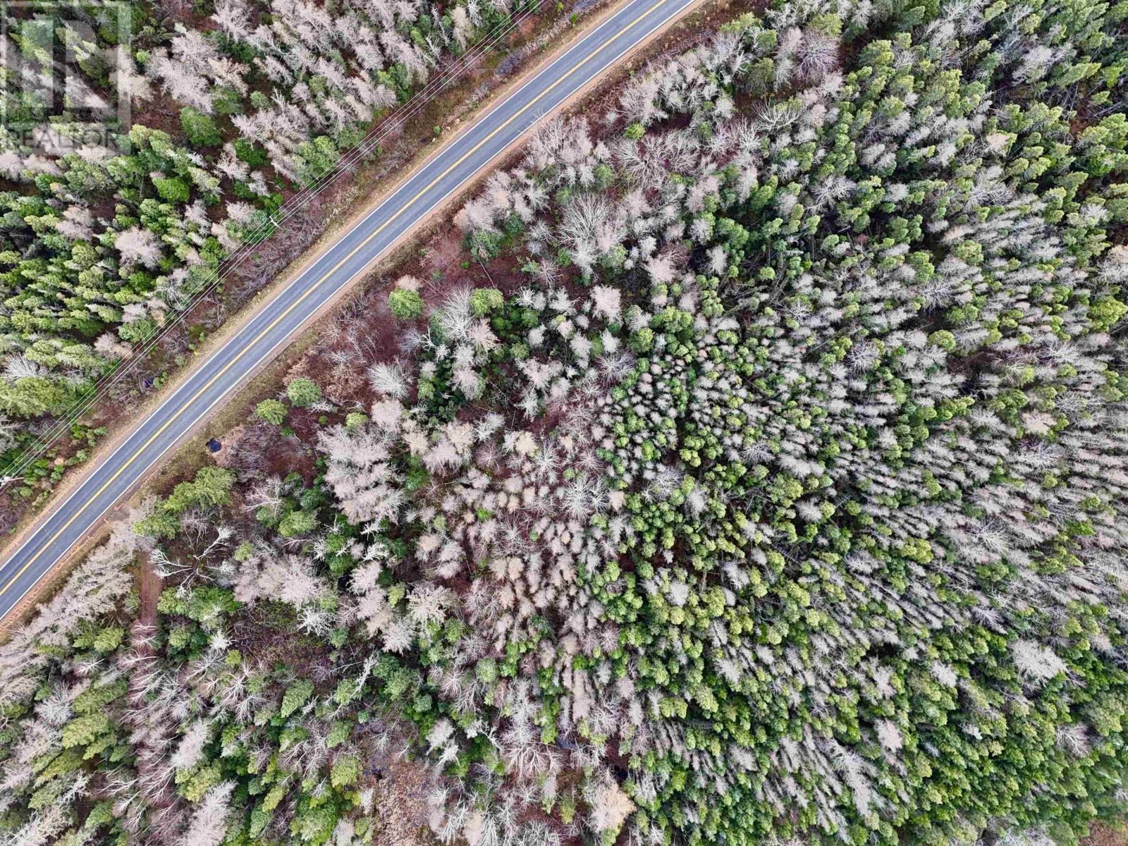 0 Cabot Trail Rd., North East Margaree, Nova Scotia  B0E 2H0 - Photo 10 - 202425789