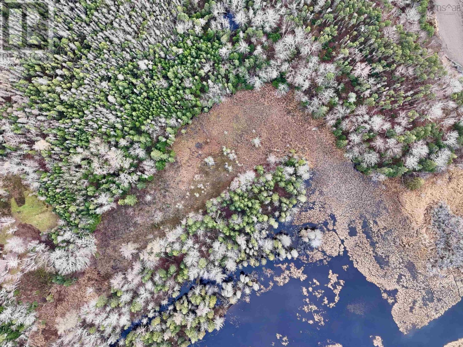 0 Cabot Trail Rd., North East Margaree, Nova Scotia  B0E 2H0 - Photo 9 - 202425789