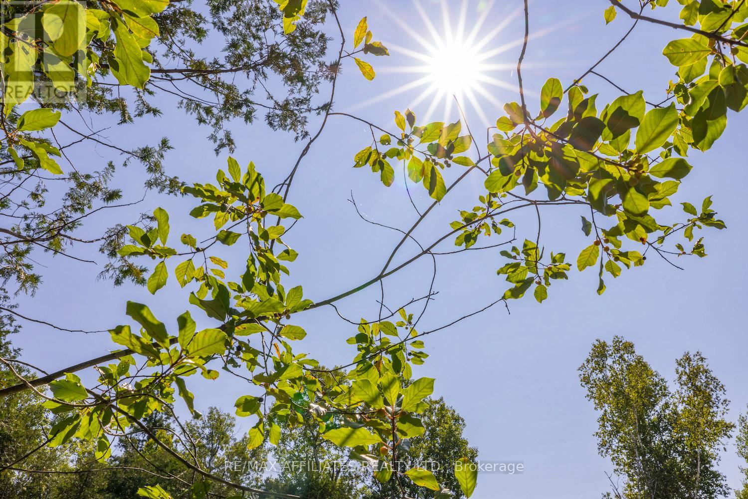 0 Bolton Road, North Grenville, Ontario  K0G 1N0 - Photo 10 - X12569864