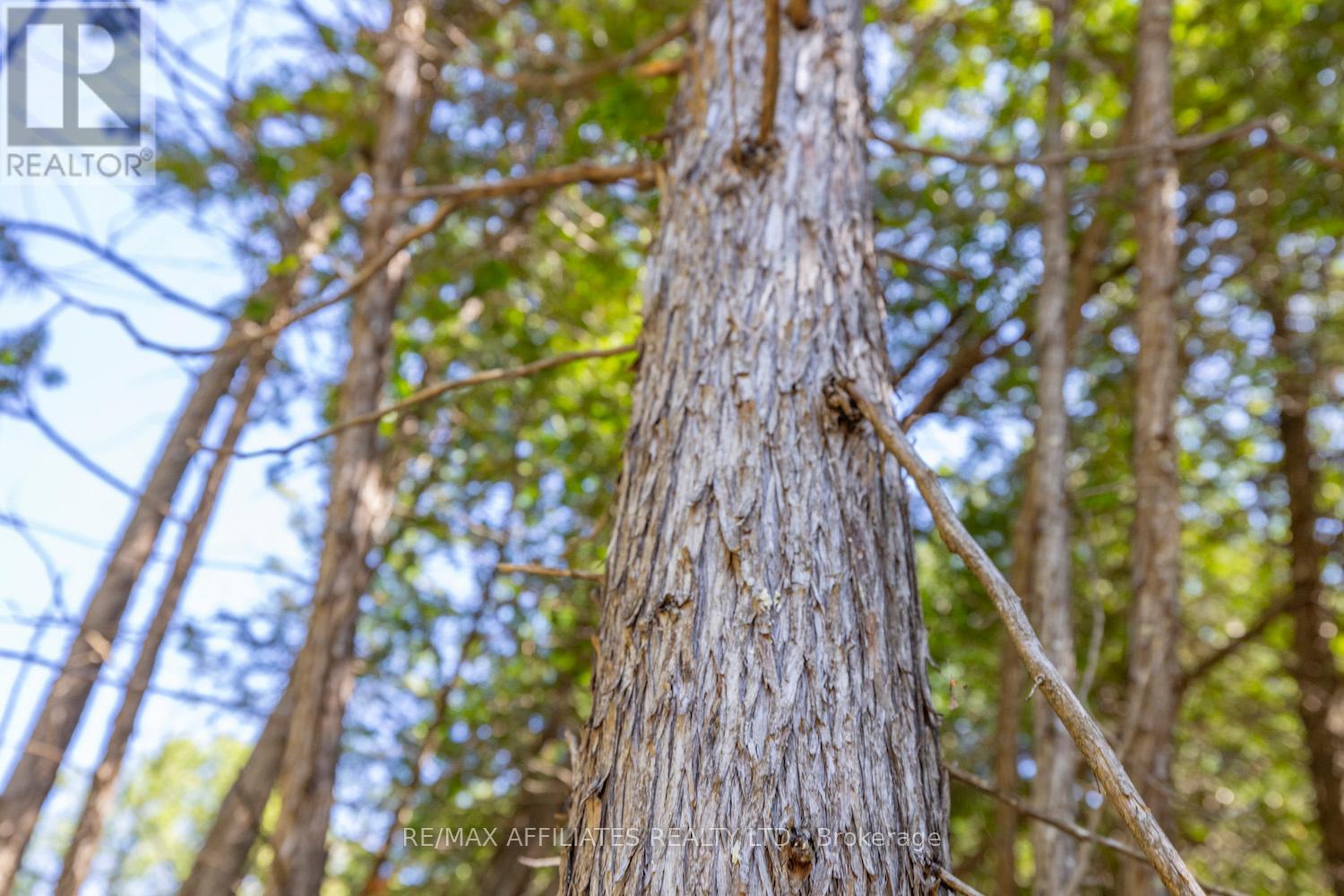 0 Bolton Road, North Grenville, Ontario  K0G 1N0 - Photo 32 - X12569864