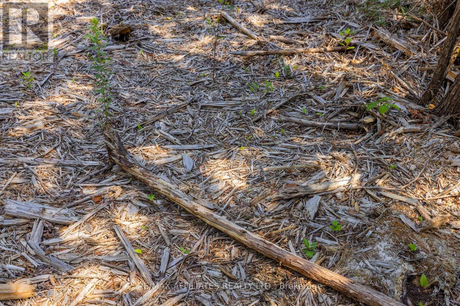 0 Bolton Road, North Grenville, Ontario  K0G 1N0 - Photo 4 - X12569864