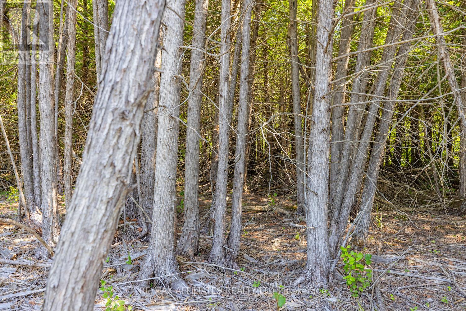 0 Bolton Road, North Grenville, Ontario  K0G 1N0 - Photo 7 - X12569864