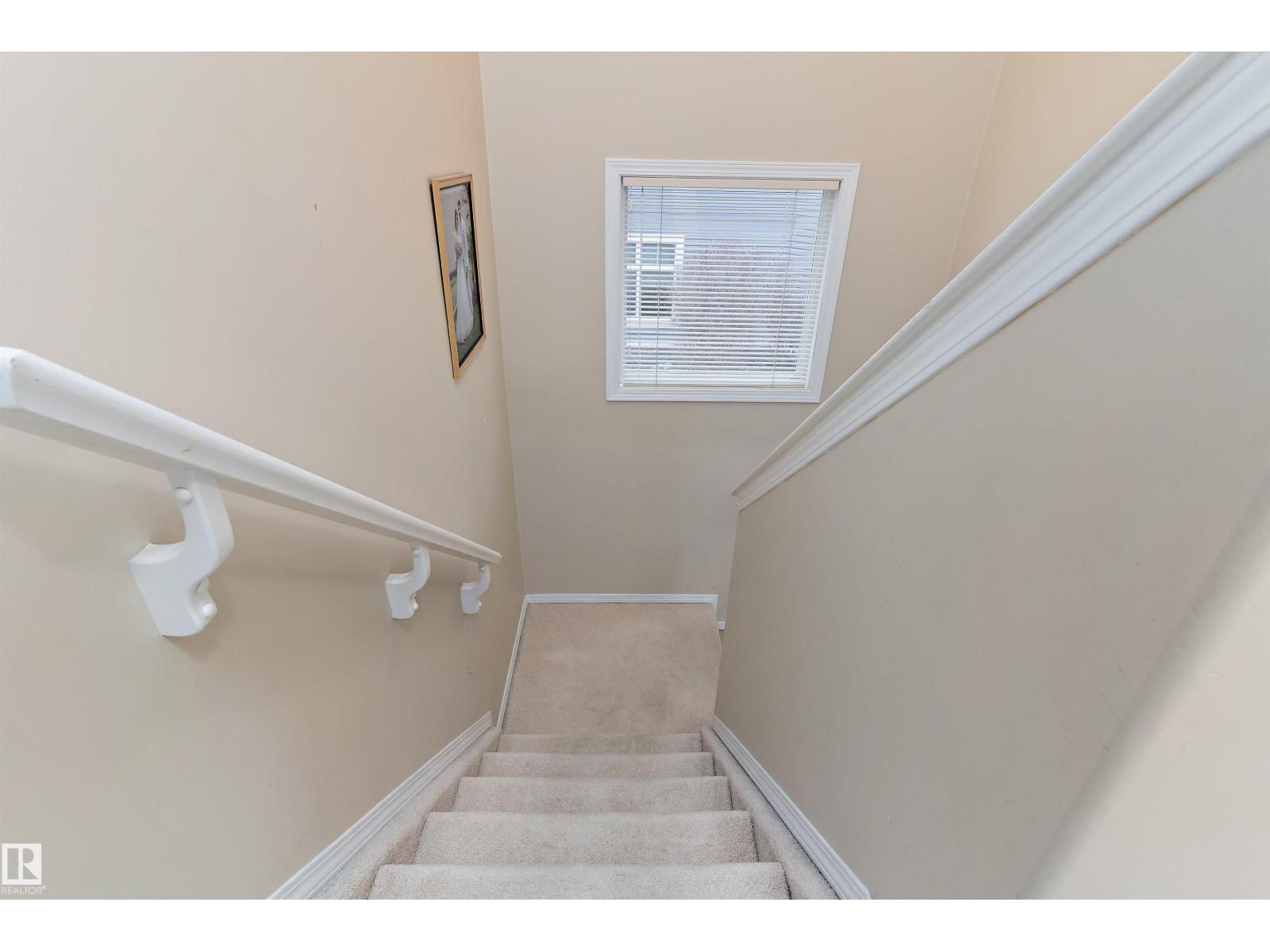 22 16003 132 Ave Nw, Edmonton, Alberta T6V 0B5 - Photo 18 - E4466564