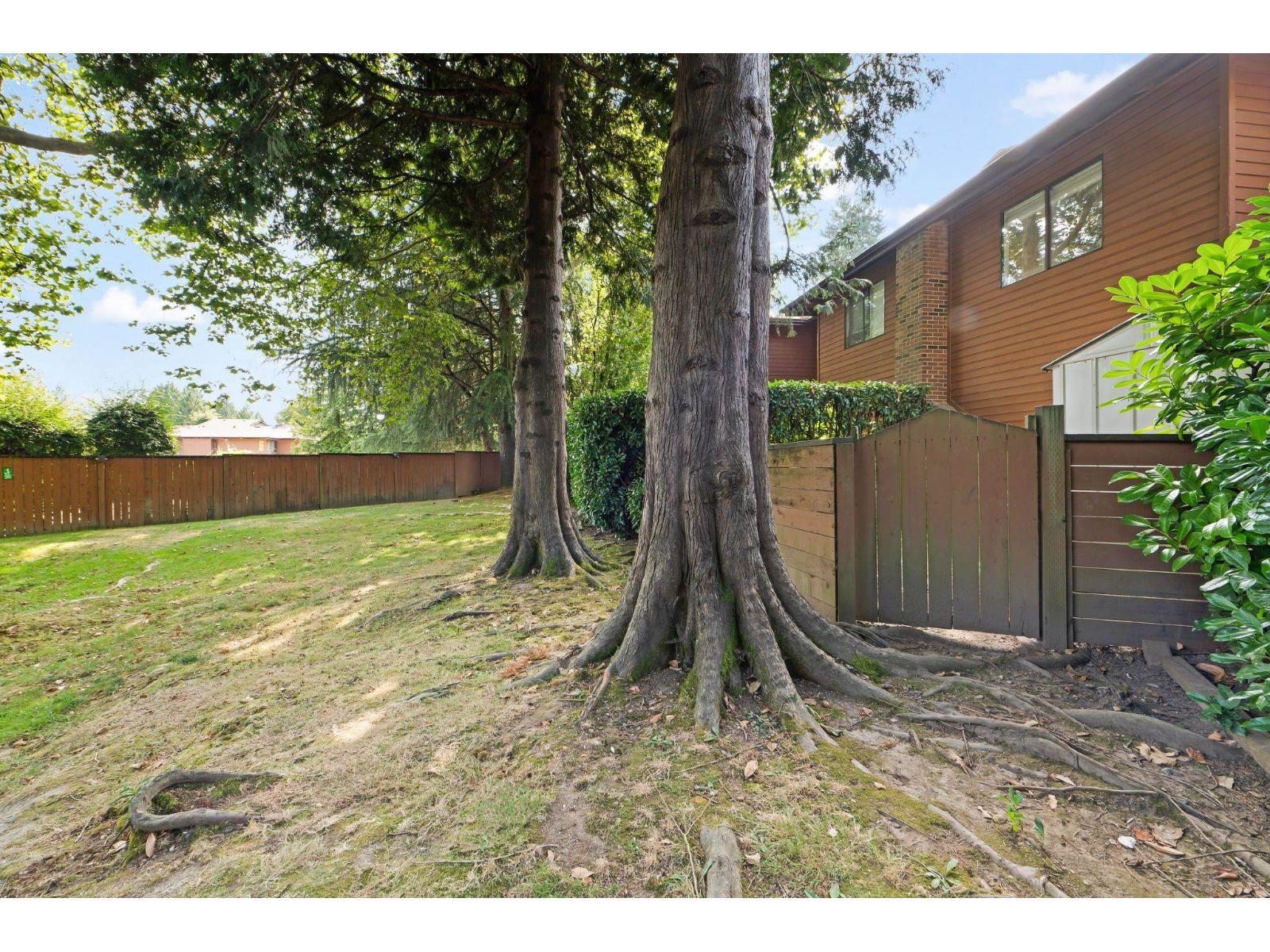 310 10620 150 Street, Surrey, British Columbia  V3R 7R9 - Photo 34 - R3069128