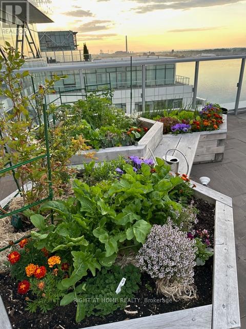 1304 - 29 Queens Quay E, Toronto, Ontario  M5E 0A4 - Photo 22 - C12569896