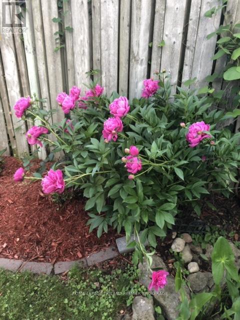 408 Brookhaven Place, London East, Ontario  N5Y 5N5 - Photo 40 - X12569960