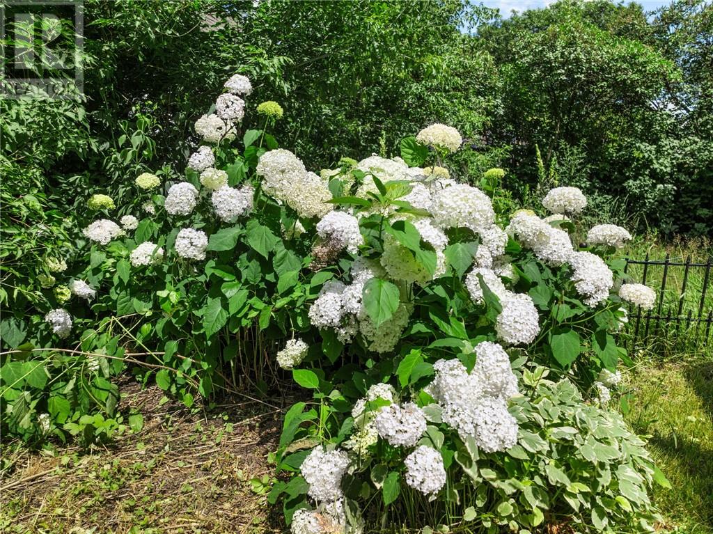 54 Baker Street, Sudbury, Ontario  P3C 2E7 - Photo 41 - 2123705