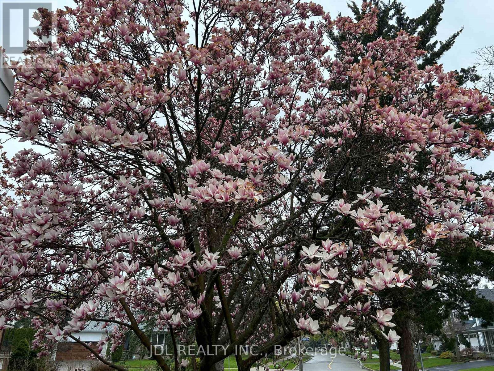 Suite Aa - 23 Pineway Blvd Boulevard N, Toronto, Ontario  M2H 1A3 - Photo 2 - C12570024